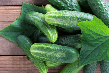 Cucumbers with leaves on a old wooden table.