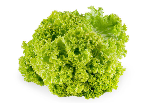 Fresh ripe lettuce with green leaves isolated on white