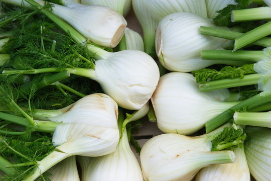 sfondo di finocchi