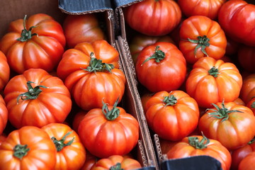 cassette di pomodori