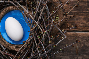 One big egg on a blue plate in a nest with spring branches