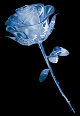 Crystal Rose