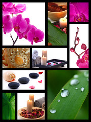 A collage of photos on the spa. Still life with stones, shells, orchids and leaves