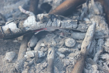 live coals