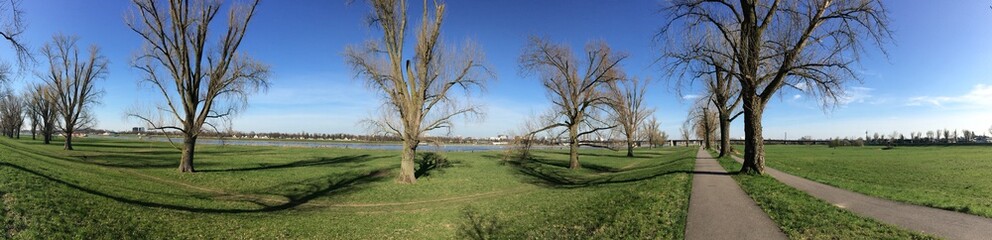 Obraz premium Düsseldorf Rhein