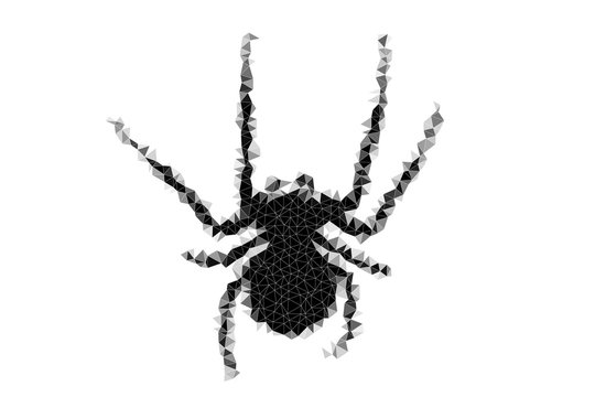 Low poly abstract spider 