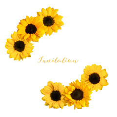 Two vignettes of shiny yellow sunflowers, isolated 