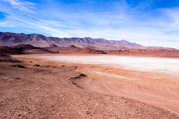 Puna. Salta. Argentina