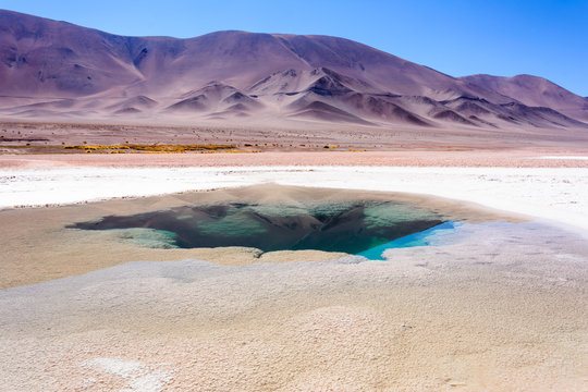 Ojos de Mar. Tolar Grande. Salta. Argentina. 
