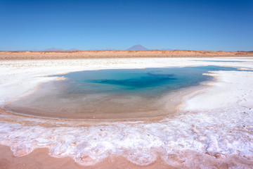 Ojos de Mar. Tolar Grande. Salta. Argentina. 