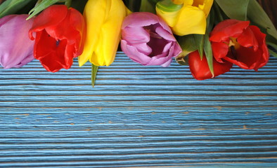 Wiosenne tło z tulipanami