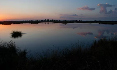 Fototapeten Sunset in National Park Dwingelderveld. Dwingeloo Drente Netherlands. Panorama. Moor. Swamp.  © A