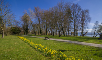 Radolfzell Mettnau Park im Frühling 