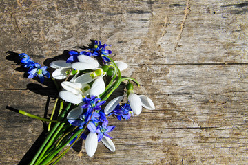 Bouquet of first spring flowers on wooden background