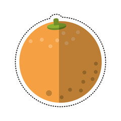 cartoon orange nutrition healthy diet vector illustration eps 10