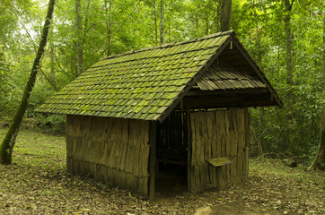 Old cottage, old wooden house, with moss among trees