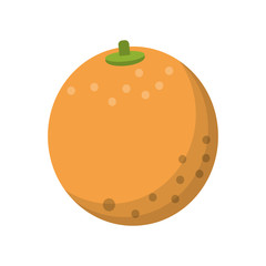 orange nutrition healthy diet vector illustration eps 10