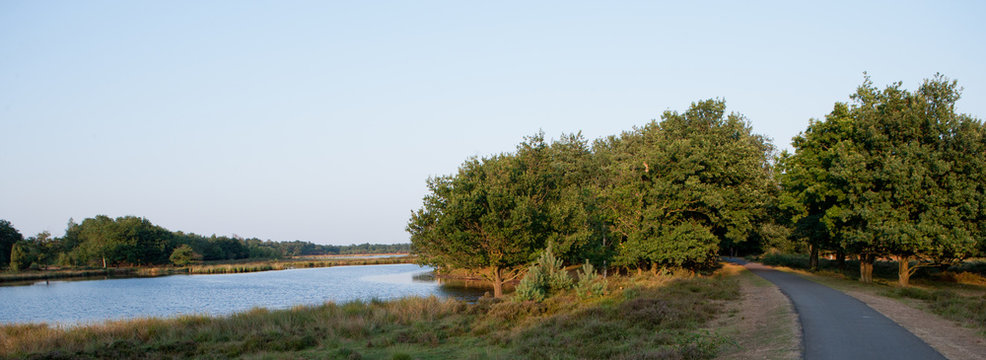 Bicycle path in the Netherlands. Beilen Netherlands. Spier.
