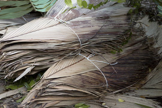 Dried palm tree leaves at wayside © BirgitKorber