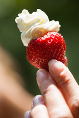 fraise et chantilly