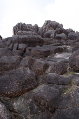 Coastline at Curieuse island, Seychelles
