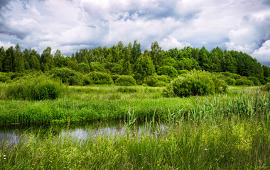 Fototapeta na wymiar The river flows through the Belarus meadows in summer