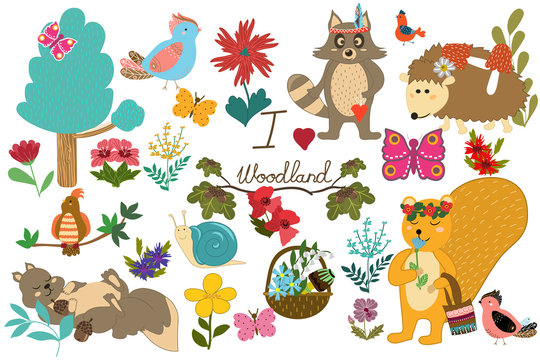 Set with forest animals and birds. Funny squirrel, raccoon, hedgehog, butterflies and plants. Hand-drawn Cartoon... Vector illustration