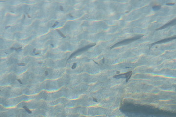 Riserva naturale Vendicari