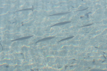 Riserva naturale Vendicari