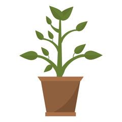 pot plant garden image vector illustration eps 10