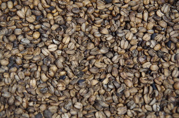 Kaffebohnen getrocknet