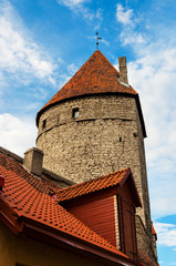 Fototapeta na wymiar Tower on the medieval city wall in Tallinn, Estonia