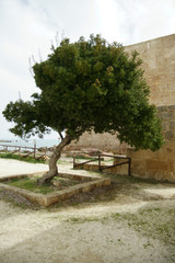 Riserva naturale Vendicari