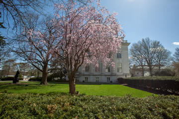 Washington DC, capital city of the United States