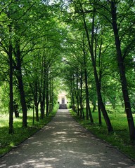 Fototapeta premium Friedhof in Weimar Thüringen