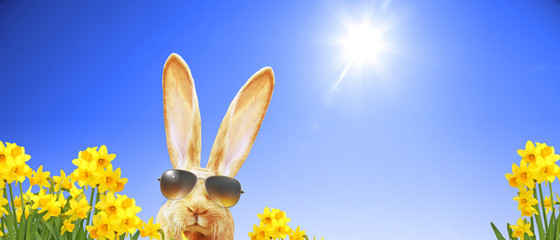 Frohe Ostern!