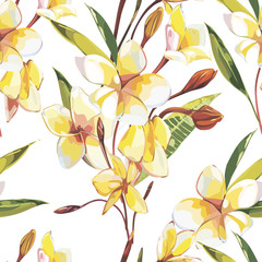 Elegance seamless pattern in vintage style with Plumeria flowers. EPS 10
