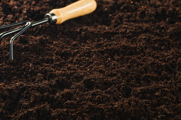 Seeding or planting a plant on a natural, soil backgroud. Camera from low angle or top view....