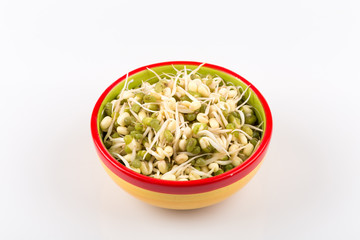 Pea seeds with sprouts close up