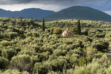 Typical landscape with olive trees and old church in Peloponnese, Greece