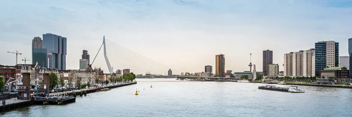 Photo sur Aluminium Rotterdam Pont Erasmus et toits de Rotterdam, Pays-Bas
