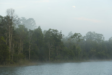 Obraz na płótnie Canvas the view of tropical rain forest, Thailand