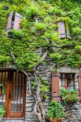 façade de maison en pierre avec arbre incrusté