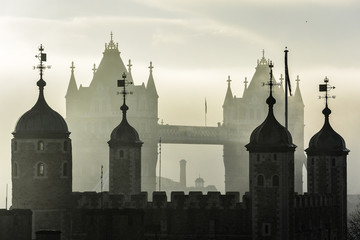 Fototapeta premium Tower Bridge