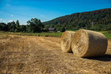 Arbeit am Bauernhof