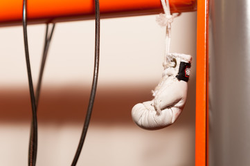 Hanging boxing gloves Toy souvenir