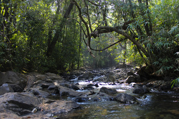 Obraz premium Beautiful river in India