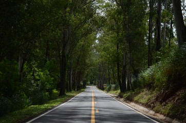 The nature road, Itu.