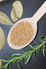 spices and herbs, spice, herb, pepper, garlic, mustard, clove, allspice, nutmeg, anise, anise star seed, chili, dried chilis, bay leaf, cinnamon, 