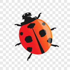 ladybug. Vector illustration